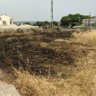 L’incendi en un descampat del Camí de l’Albi de Lleida.