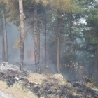 Els Bombers atenen 43 serveis per caiguda d'arbres per la tempesta als Pirineus i treballen en un foc de llamp a Navès