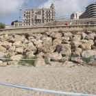 Es necessiten voluntaris per vigilar els ous de tortuga babaua de la platja del Miracle de Tarragona