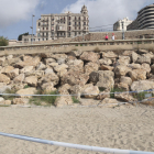 Se necesitan voluntarios para vigilar los huevos de tortuga boba de la playa del Milagro de Tarragona