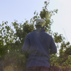 Captura del documental ‘El cost de la fruita’ de Clara Barbal i Pablo Rogero, sobre explotació laboral.