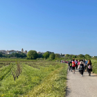 Una de les manifestacions de protesta a Lleida contra les macrolínies elèctriques.