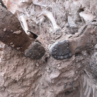 Restes d’un soldat trobat en una de les fosses comunes de Bovera.
