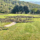 Senglars destrossen l’heliport de Can Boix ■ Una quinzena de senglars ha destrossat per segona vegada en deu dies l’heliport privat de l’hotel Can Boix de Peramola. Joan Pallarés, el seu propietari, va explicar ahir que ha instal·lat llums  ...