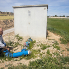 Minguella, agricultor de Vilagrassa i vicepresident del Canalet.