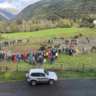 Vilaller celebra la seua fira ramadera amb divuit explotacions