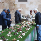 El pati de l’IEI acull la XXXIII Mostra de Bolets de Tardor de les Terres de Lleida.