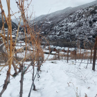 pantà de sant antoni. El projecte Aquoir ha submergit vins del Pallars sota l’aigua per criar-los.