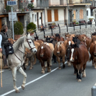 Els cavalls creuant dilluns Gerri de la Sal per l’Eix Pirinenc, l’N-260.