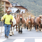 Transhumància ■ La transhumància arriba al final amb la baixada dels cavalls de les muntanyes. Un grup d’animals va passar ahir per Rialp i dimarts 200 equins van creuar el Pallars.