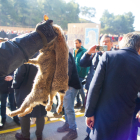 Un manifestant subjectant dos conills durant la protesta del passat 3 de març.