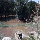 Reg a manta en una finca de Bell-lloc en un dels torns establerts per regar aquest estiu.