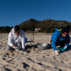 Voluntaris recullen pèl·lets de la sorra en una de les platges de la Corunya.