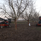 L’accident es va produir en aquesta finca a prop de la carretera del Palau d’Anglesola.