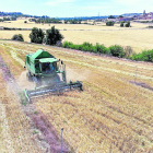 El sector dels cultius herbacis és un dels inclosos en la Política Agraria Común.