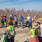 Més de cent persones visiten els camps de fruiters de Bellver i Ontinyena