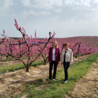 La cònsol general dels Estats Units a Barcelona, Katie Stana, va visitar ahir els camps en flor d’Aitona.