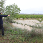 Alcaldes i pagesos observen la magnitud de les conseqüències del desbordament del Cinca entre la Granja i Massalcoreig.