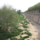 Estat en el qual es troba el marge dret de la canalització passat el pont de la Universitat.