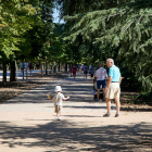 Vista d’un nen passejant amb el seu avi per un parc.