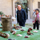 L'IEI acull la XXVI Mostra de Bolets de Primavera de Lleida