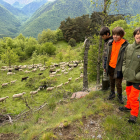 Nens davant una agrupació d’ovelles i cabres a Vilamòs.