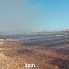 L’incendi de Vallfogona es va declarar ahir a la tarda i va calcinar un camp de cereal segat.