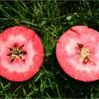 Imatge de pomes de polpa roja.