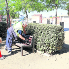 Un operari arreglant un banc d’un parc de la Bordeta ahir durant la campanya Barri a Barri.