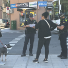 Una patrulla de la Urbana revisa la documentació d’un propietari d’un gos a Lleida.