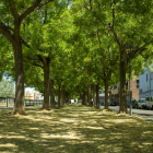 Imatge del carrer Campament, a la Bordeta, un dels barris amb més arbres de la capital.