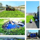 Èxit del projecte de cobertes verdes Big4life, al Parc - REDACCIÓ XXII