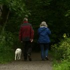 Una pareja de jubilados pasea por el bosque.