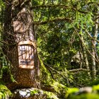 Imagen de la ruta 'El bosc dels Menairons'.
