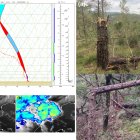 Així va ser el tornado de Mura, d'intensitat IF1,5 i que va registrar vents de fins a 180 km/h