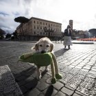 En la imagen de archivo, una mujer pasea a su perro en una calle durante el encierro navideño por la pandemia, en Roma, Italia.