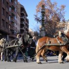 Imatge d'arxiu de la celebració l'any passat de la Festivitat de Sant Antoni Abat a Lleida.