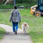 Una persona paseando a su perro.