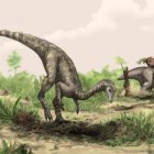 El Nyasasaurus podría ser el dinosaurio más antiguo conocido o bien un pariente cercano de los primeros dinosaurios.