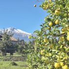 Itàlia entre volcans.