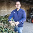 Jordi Llanes mostrant calçots verds per al cap de setmana. - LAIA PEDRÓS