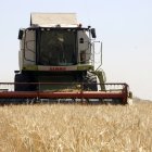 Imatge d’una finca de cereals en ple treball amb la maquinària. - ACN