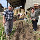 Joan Cirici i Pepita Duran, veïns d’Estamariu, planten la ceba de Coll de Nargó. - ACN