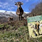 Primer pla del llibre amb vaques al fons. - MARTA LLUVICH