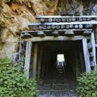 canaris a les mines - PIXABAY