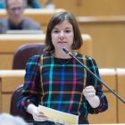 La portaveu d'ERC al Senat, Sara Bailac
