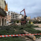 En total s’han talat vuit pins que estaven malalts a la plaça de l’Ajuntament. - AJUNTAMENT ARTESA DE SEGRE