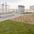 La coberta vegetal de l’edifici de l’H3 del parc Agrobiotech de Gardeny. - OMA