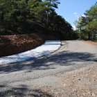 Un dels camins del municipi de la Baronia de Rialb. - E. FARNELL