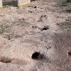 Una àrea plena de caus de conill prop de Tàrrega